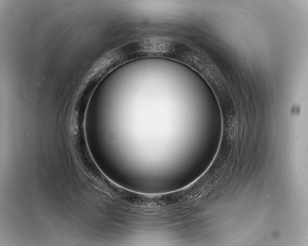 X0000098230731200804241340