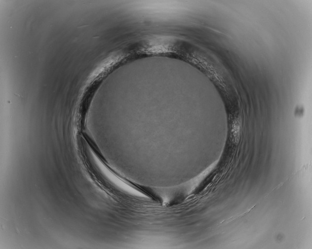 X0000098230732200804241340