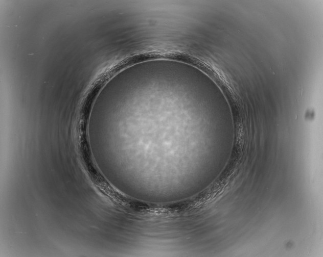 X0000098230736200804241340