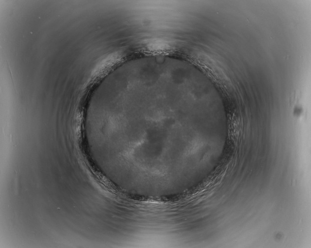 X0000098230742200804241340