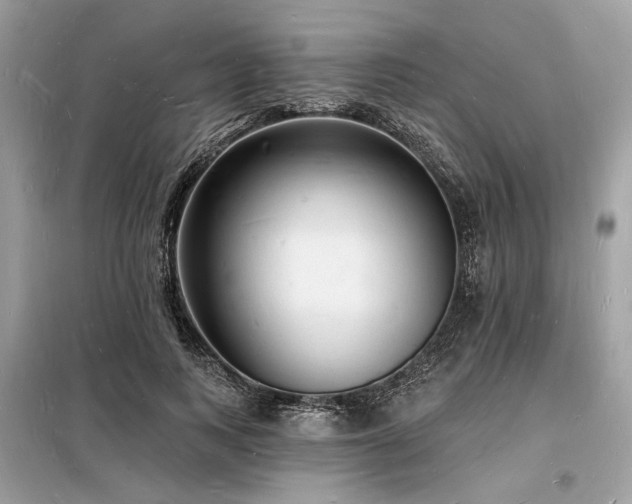 X0000098230743200804241340
