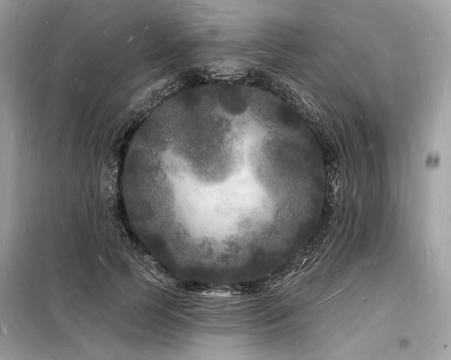 X0000098230745200804241340