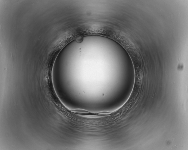 X0000098230746200804241340