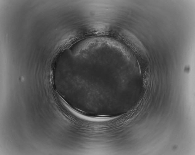 X0000098230748200804241340