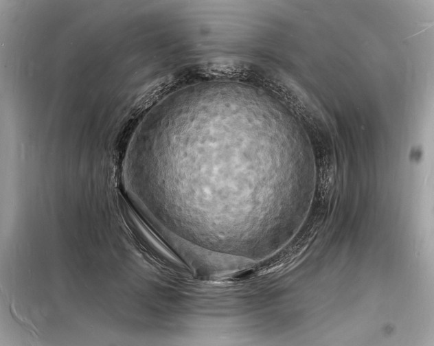 X0000098230749200804241340