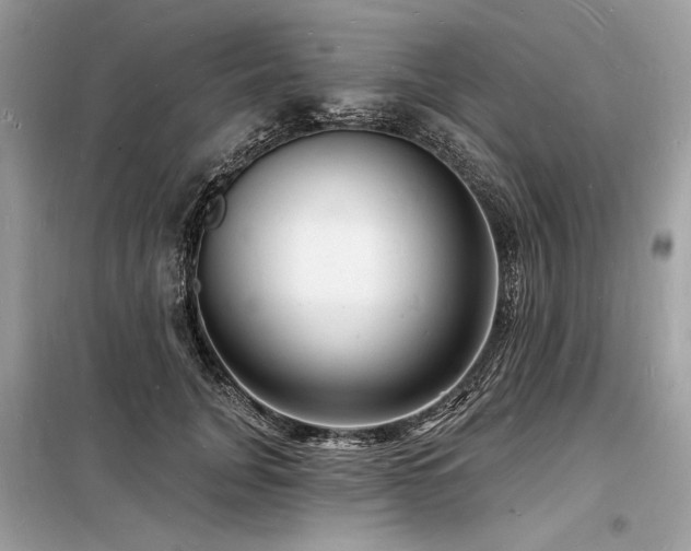 X0000098230751200804241340