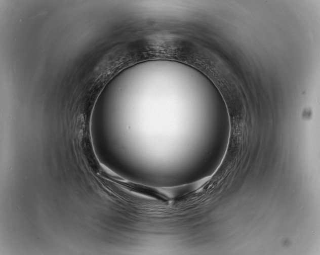 X0000098230752200804241340