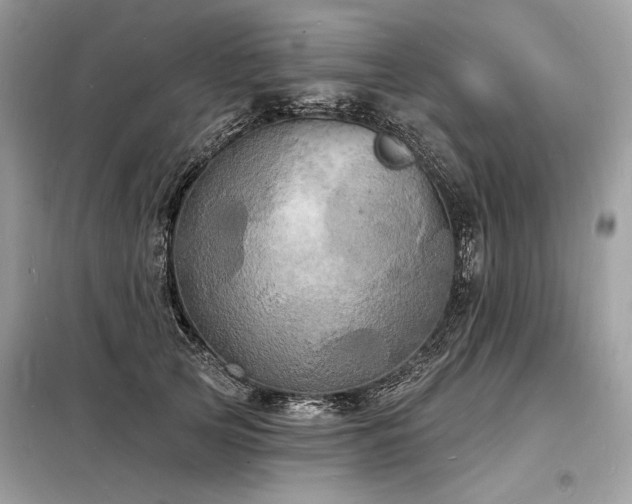 X0000098230753200804241340