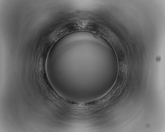 X0000098230754200804241340