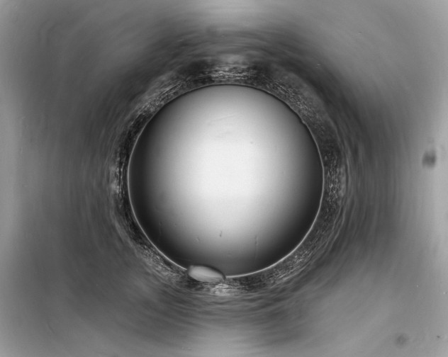 X0000098230755200804241340