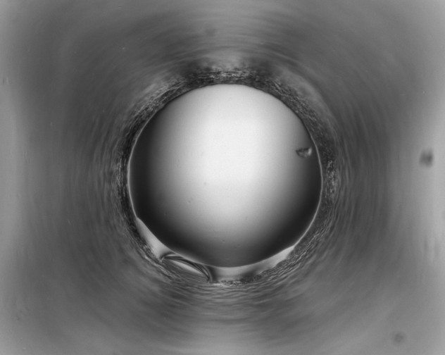 X0000098230756200804241340
