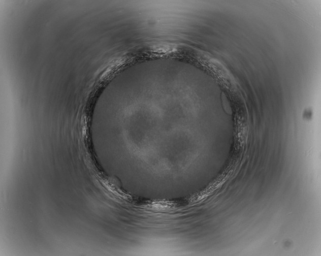 X0000098230758200804241340