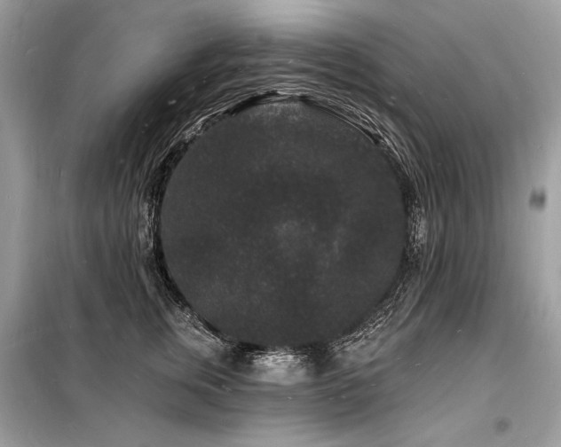 X0000098230759200804241340