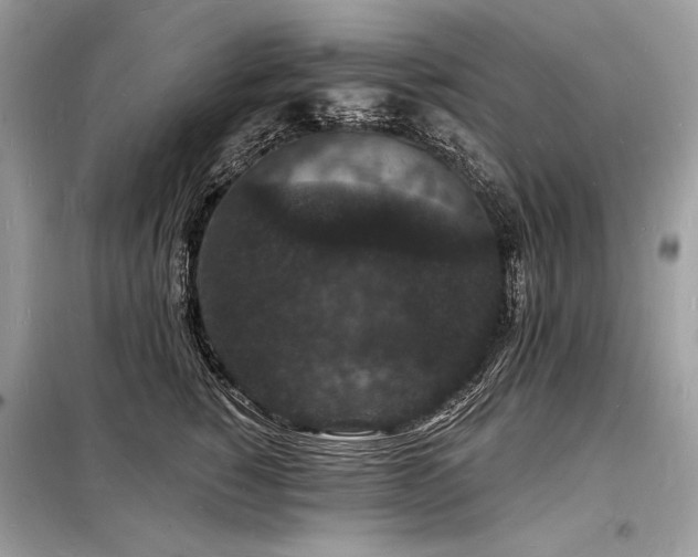 X0000098230760200804241340