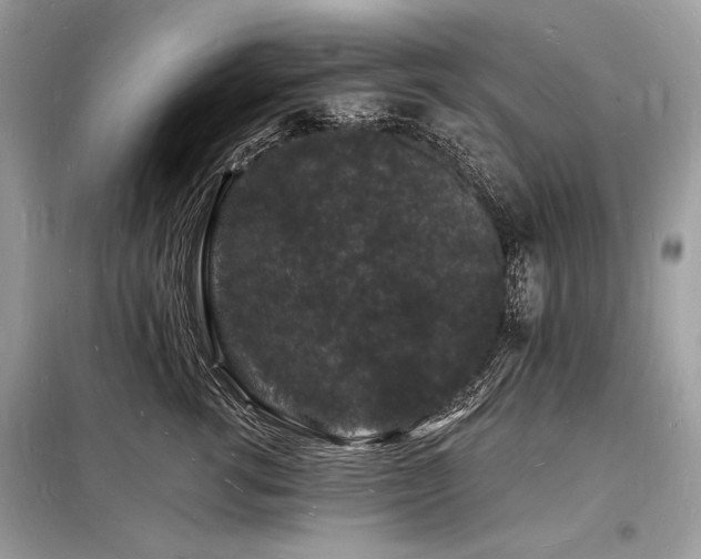 X0000098230762200804241340