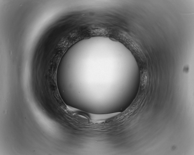 X0000098230764200804241340