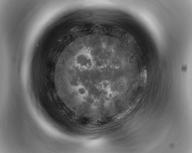 X0000098230765200804241340