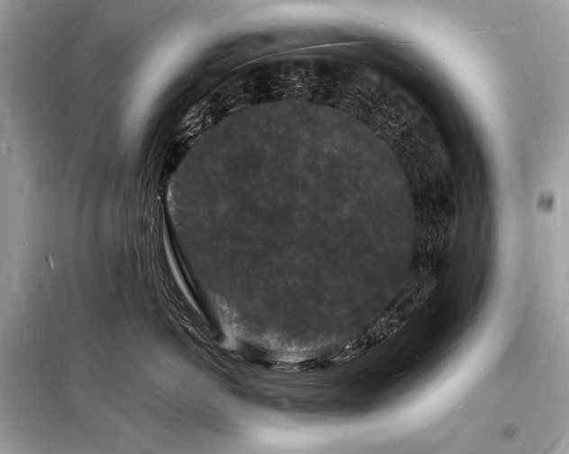 X0000098230766200804241340