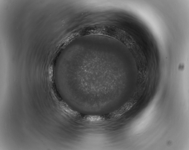 X0000098230767200804241340
