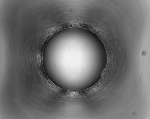X0000098230768200804241340