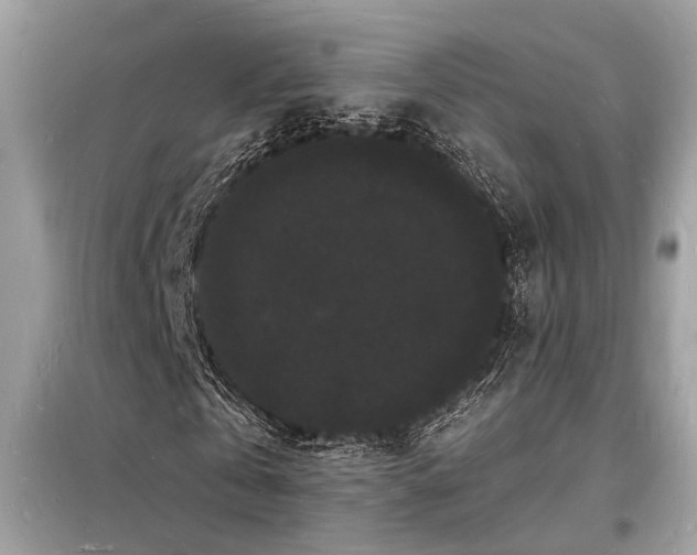 X0000098230769200804241340