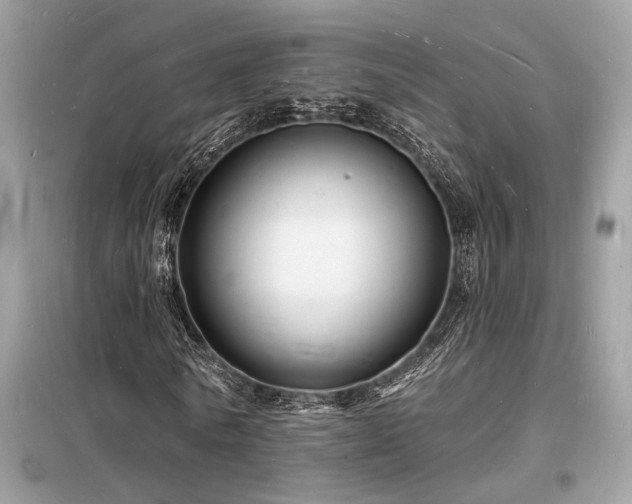 X0000098230770200804241339