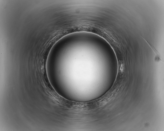 X0000098230771200804241339