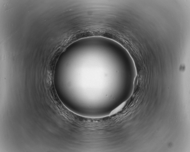 X0000098230772200804241339