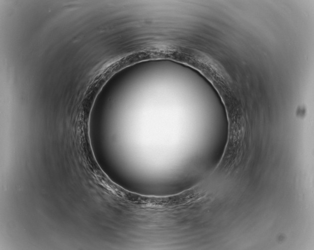 X0000098230773200804241339