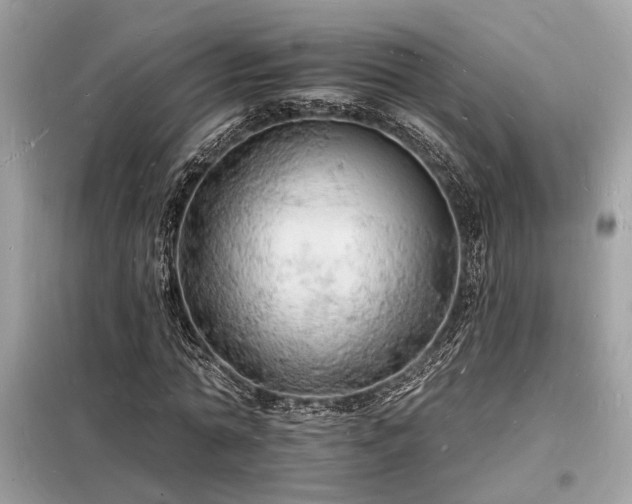 X0000098230774200804241339