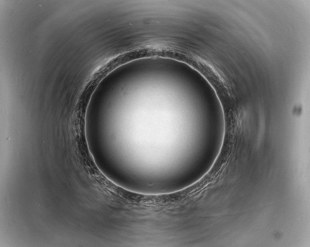 X0000098230776200804241339