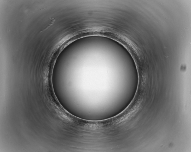 X0000098230778200804241339