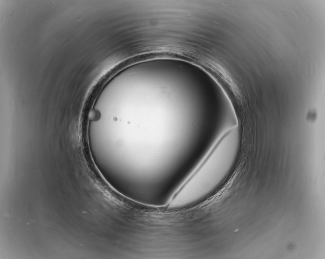 X0000098230780200804241339