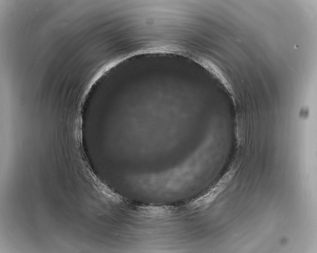 X0000098230781200804241339