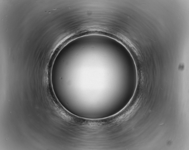 X0000098230782200804241339