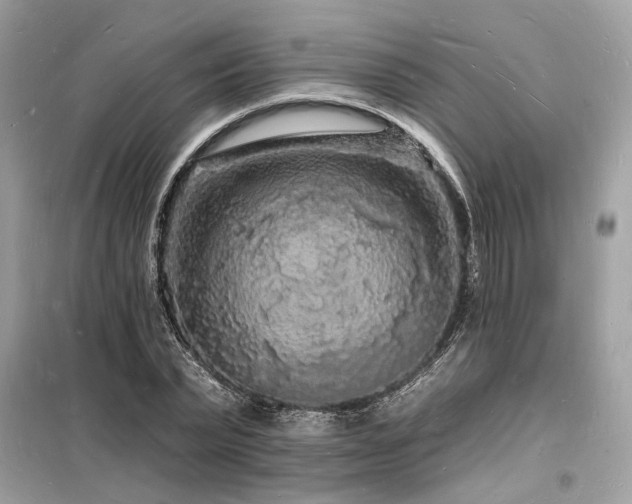 X0000098230783200804241339