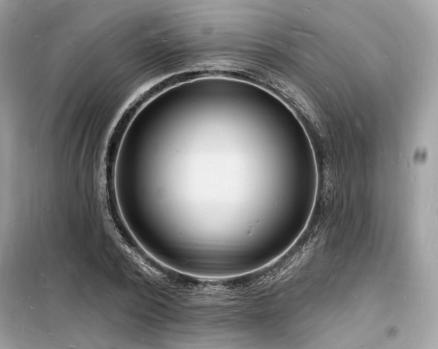 X0000098230784200804241339