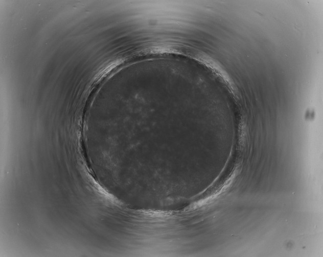 X0000098230785200804241339