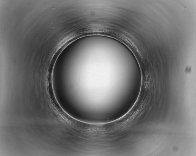 X0000098230786200804241339