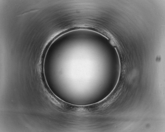 X0000098230787200804241339