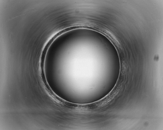 X0000098230788200804241339