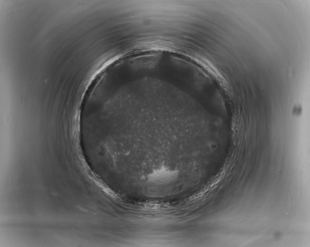 X0000098230790200804241339