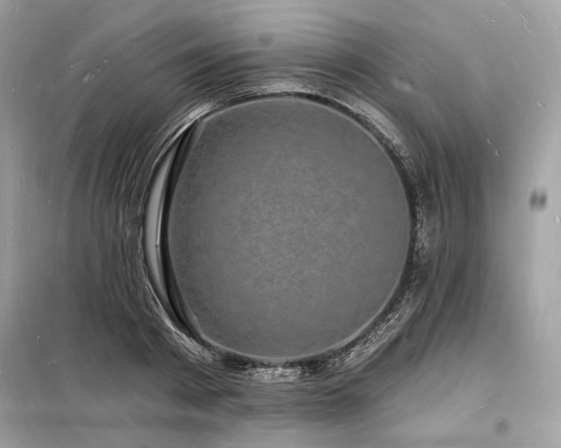 X0000098230793200804241339