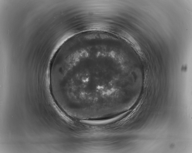 X0000098230796200804241339