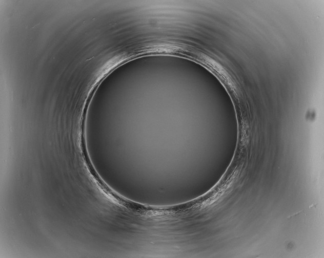 X0000098230802200804241339