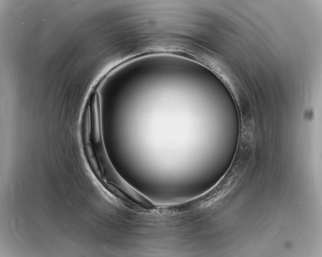 X0000098230803200804241339