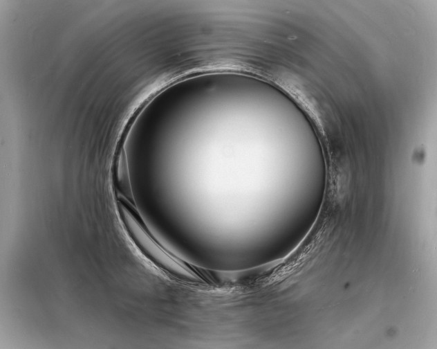 X0000098230805200804241339
