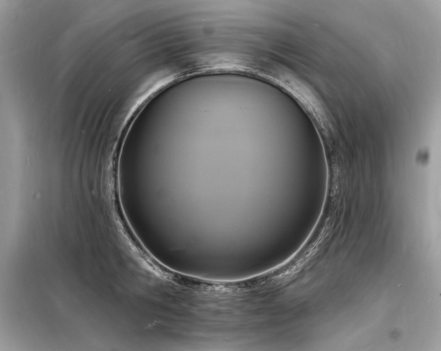 X0000098230806200804241339
