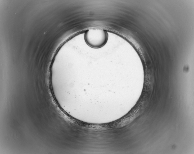 X0000098230807200804241339