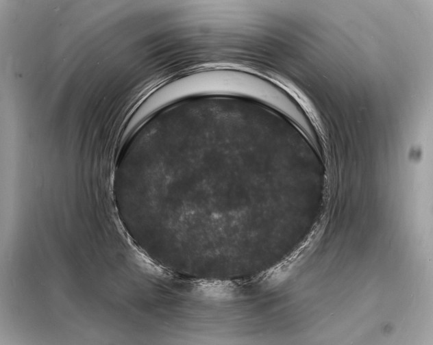 X0000098230809200804241339
